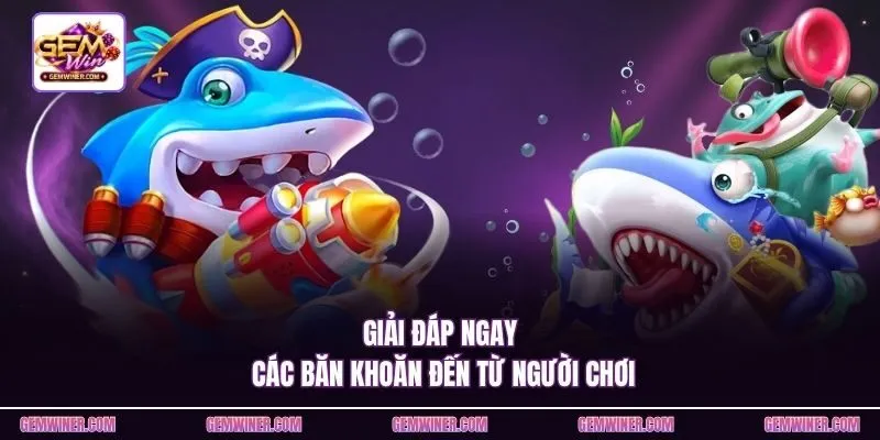 Giải đáp ngay các băn khoăn đến từ người chơi