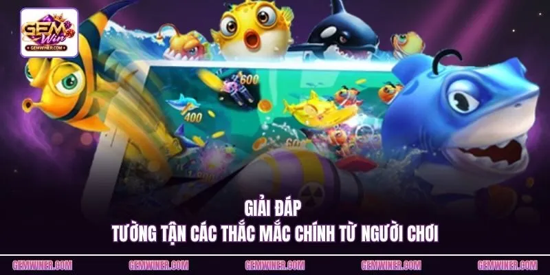 Giải đáp tường tận các thắc mắc chính từ người chơi
