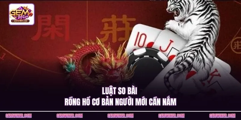 Luật so bài Rồng Hổ cơ bản người mới cần nắm